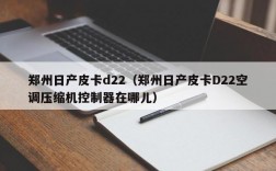 郑州日产皮卡d22（郑州日产皮卡D22空调压缩机控制器在哪儿）