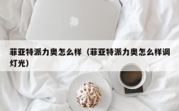 菲亚特派力奥怎么样（菲亚特派力奥怎么样调灯光）