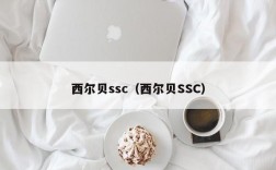 西尔贝ssc（西尔贝SSC）