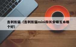 吉利熊猫（吉利熊猫mini和长安糯玉米哪个好）