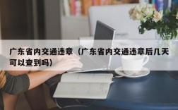 广东省内交通违章（广东省内交通违章后几天可以查到吗）