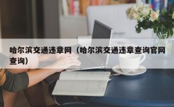 哈尔滨交通违章网（哈尔滨交通违章查询官网查询）