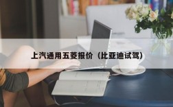 上汽通用五菱报价（比亚迪试驾）