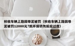 秋收车辆上路因带泥被罚（秋收车辆上路因带泥被罚12000元?抓环保切勿反应过度）