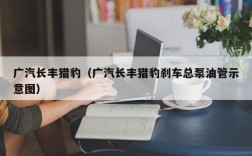 广汽长丰猎豹（广汽长丰猎豹刹车总泵油管示意图）