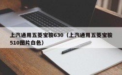 上汽通用五菱宝骏630（上汽通用五菱宝骏510图片白色）