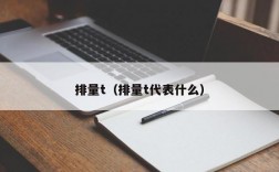 排量t（排量t代表什么）