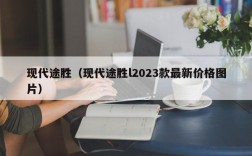 现代途胜（现代途胜l2023款最新价格图片）