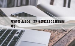 邓禄普dz101（邓禄普DZ102花纹图片）