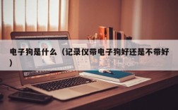 电子狗是什么（记录仪带电子狗好还是不带好）