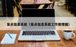 盲点信息系统（盲点信息系统工作原理图）