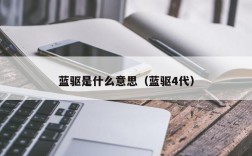 蓝驱是什么意思（蓝驱4代）