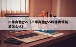 二手奔驰g55（二手奔驰g55和林肯领航员怎么选）