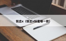 锐志x（锐志x标是哪一款）