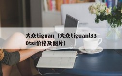 大众tiguan（大众tiguanl330tsi价格及图片）