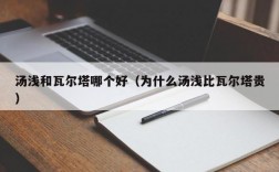 汤浅和瓦尔塔哪个好（为什么汤浅比瓦尔塔贵）