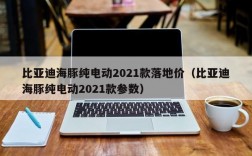 比亚迪海豚纯电动2021款落地价（比亚迪海豚纯电动2021款参数）