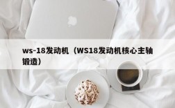 ws-18发动机（WS18发动机核心主轴锻造）