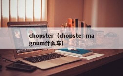 chopster（chopster magnum什么车）