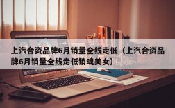 上汽合资品牌6月销量全线走低（上汽合资品牌6月销量全线走低销魂美女）