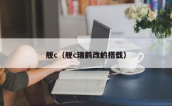 舰c（舰c瑞鹤改的搭载）