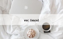 vsc（vsco）