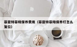 菲亚特菲翔保养费用（菲亚特菲翔保养灯怎么复位）