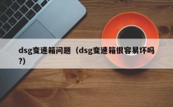 dsg变速箱问题（dsg变速箱很容易坏吗?）