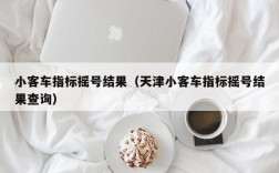 小客车指标摇号结果（天津小客车指标摇号结果查询）