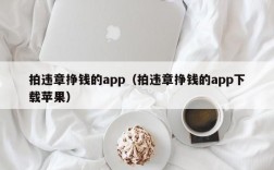 拍违章挣钱的app（拍违章挣钱的app下载苹果）