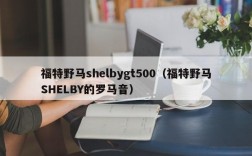 福特野马shelbygt500（福特野马SHELBY的罗马音）