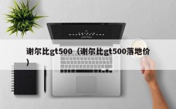 谢尔比gt500（谢尔比gt500落地价）