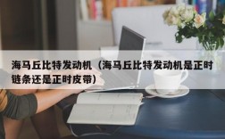 海马丘比特发动机（海马丘比特发动机是正时链条还是正时皮带）