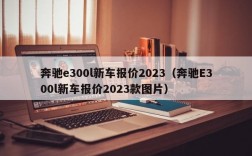 奔驰e300l新车报价2023（奔驰E300l新车报价2023款图片）