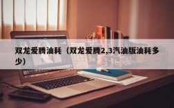 双龙爱腾油耗（双龙爱腾2,3汽油版油耗多少）