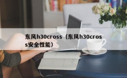 东风h30cross（东风h30cross安全性能）