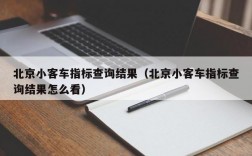 北京小客车指标查询结果（北京小客车指标查询结果怎么看）