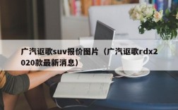 广汽讴歌suv报价图片（广汽讴歌rdx2020款最新消息）