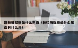 颗粒捕捉器是什么东西（颗粒捕捉器是什么东西有什么用）