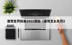 酒驾处罚标准2021初犯（酒驾怎么处罚2020）