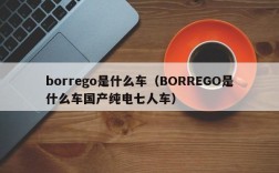 borrego是什么车（BORREGO是什么车国产纯电七人车）