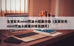 五菱宏光mini燃油小敞篷价格（五菱宏光mini燃油小敞篷价格及图片）