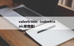 valvetronic（valvetronic原理图）