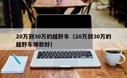 20万到30万的越野车（20万到30万的越野车哪款好）