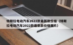 特斯拉电动汽车2022款最新款价格（特斯拉电动汽车2022款最新款价格图片）