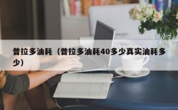 普拉多油耗（普拉多油耗40多少真实油耗多少）