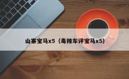 山寨宝马x5（毒辣车评宝马x5）