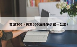 黄龙300（黄龙300油耗多少钱一公里）